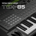 TGX-85 2.0 | Yamaha SY85/TG500 Sample Library